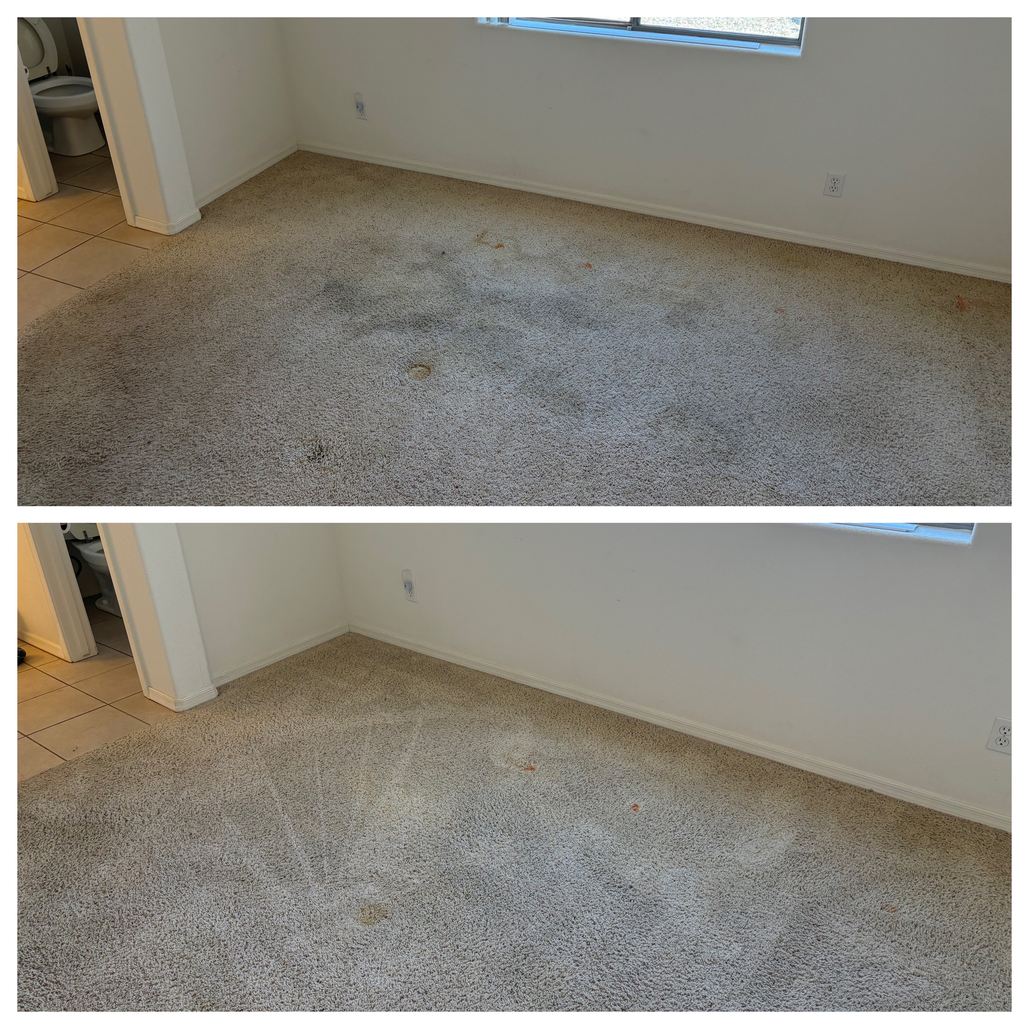 Carpet, Upholstery, Tile & Grout Cleaning
